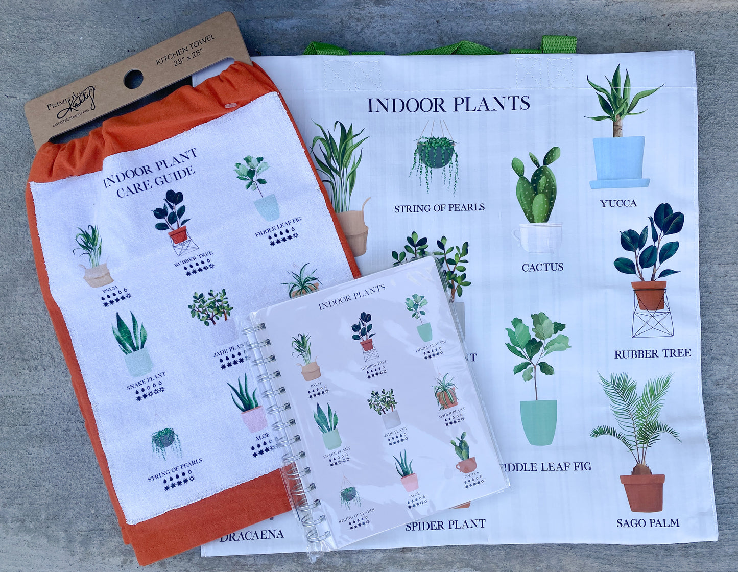 Indoor Plant Notebook