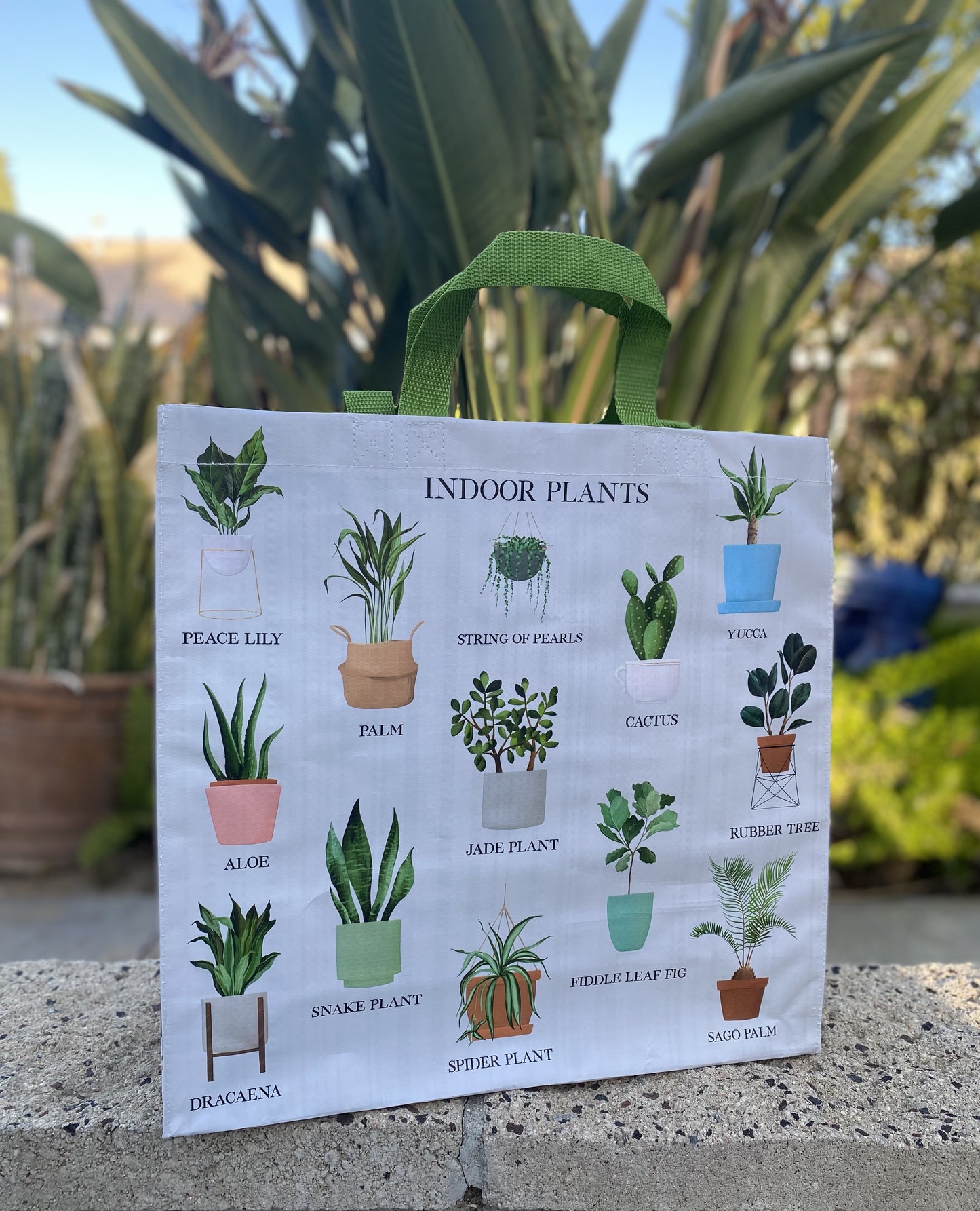 Indoor Plant Parent Tote Bag