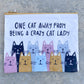 Cat Zipper Pouch - Med 9.5" X 7"